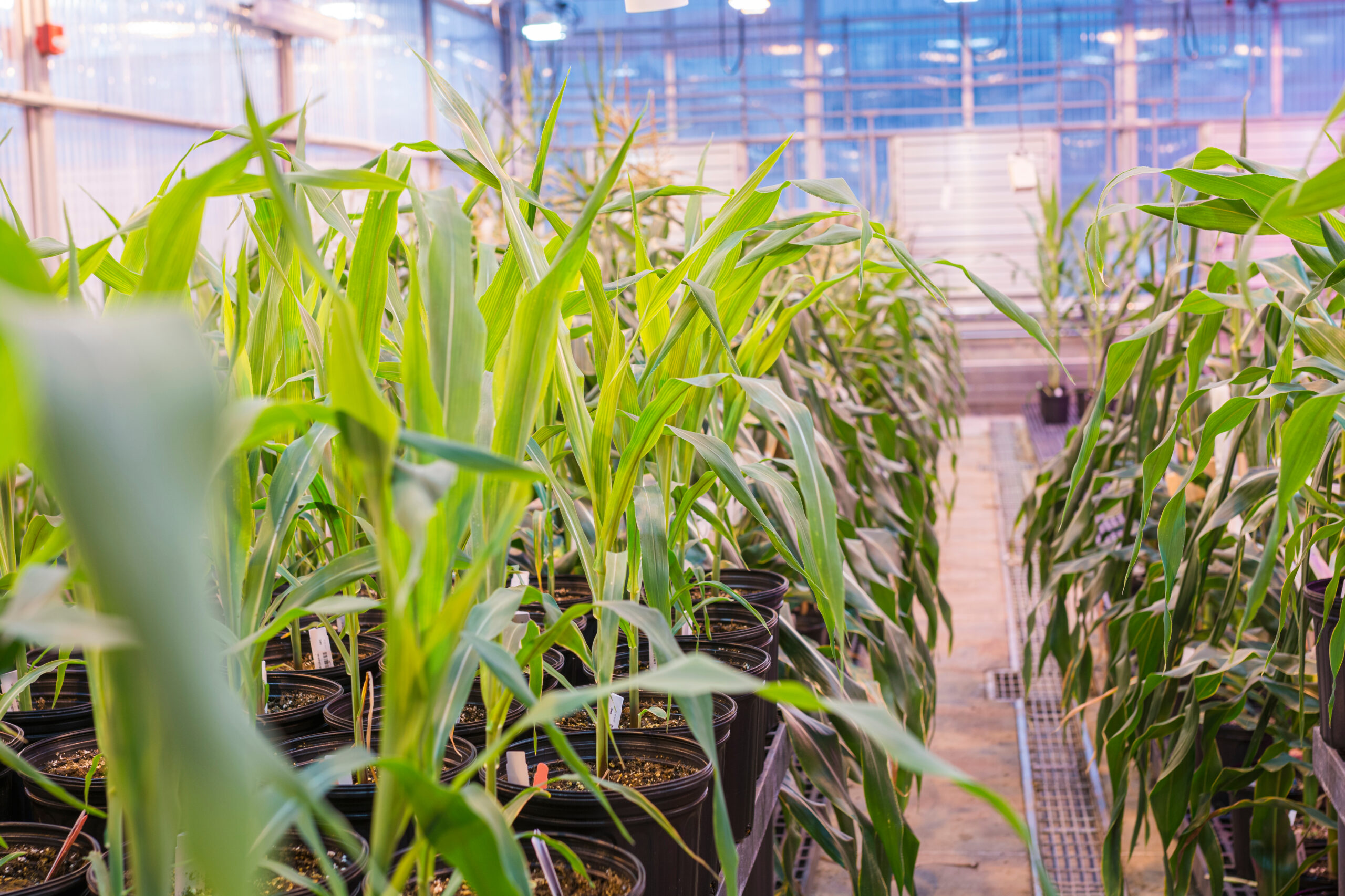what-does-the-ira-mean-for-agtech-es-management-pte-ltd