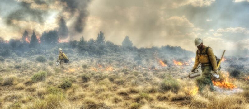 may-as-national-wildfire-awareness-month:-10-tips-to-prevent-wildfires may-as-national-wildfire-awareness-month:-10-tips-to-prevent-wildfires