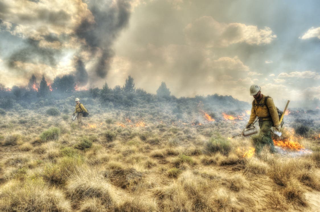 may-as-national-wildfire-awareness-month:-10-tips-to-prevent-wildfires