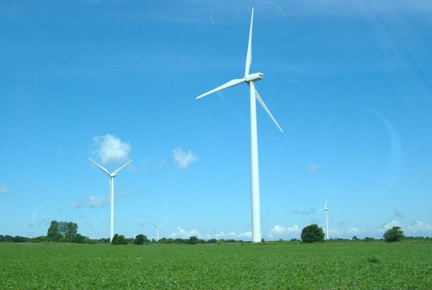 shining-a-spotlight-on-wind-&-solar-misinformation