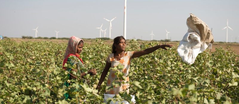india-has-big-clean-energy-goals-–-so-why-is-it-banking-on-coal? india-has-big-clean-energy-goals-–-so-why-is-it-banking-on-coal?