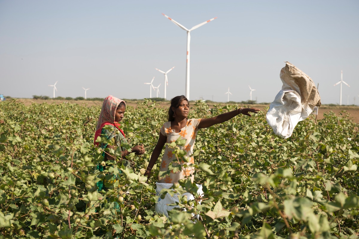 india-has-big-clean-energy-goals-–-so-why-is-it-banking-on-coal?