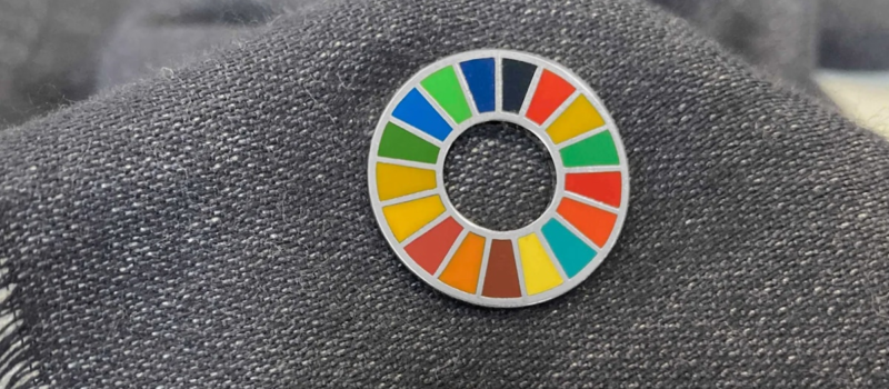 sdg-adoption-is-high,-but-more-real-action-needed-to-achieve-goals:-undp’s-fabienne-michaux sdg-adoption-is-high,-but-more-real-action-needed-to-achieve-goals:-undp’s-fabienne-michaux