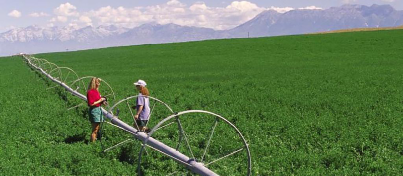 if-we-can’t-bring-water-to-the-crops,-we-should-bring-crops-to-the-water if-we-can’t-bring-water-to-the-crops,-we-should-bring-crops-to-the-water