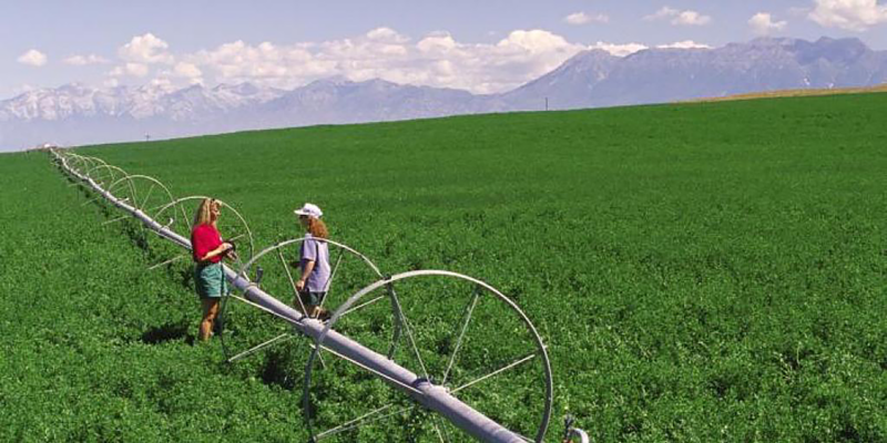 if-we-can’t-bring-water-to-the-crops,-we-should-bring-crops-to-the-water