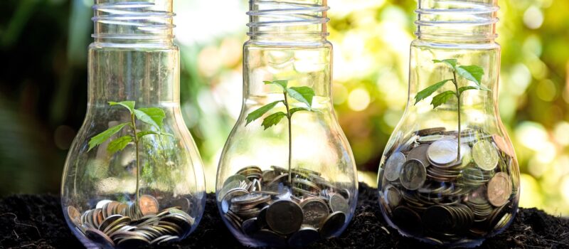 ‘disappointing’:-few-asset-managers-back-shareholder-biodiversity-proposals,-report-finds ‘disappointing’:-few-asset-managers-back-shareholder-biodiversity-proposals,-report-finds