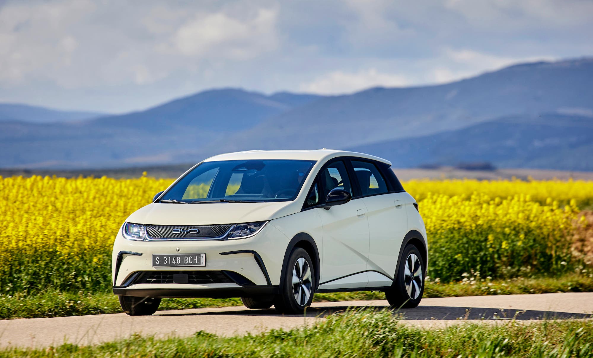 byd-dolphin-launched-in-new-zealand