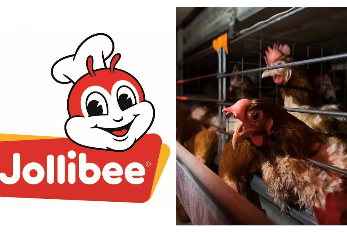 asia’s-fastest-growing-restaurant-chain-faces-pressure-over-animal-cruelty