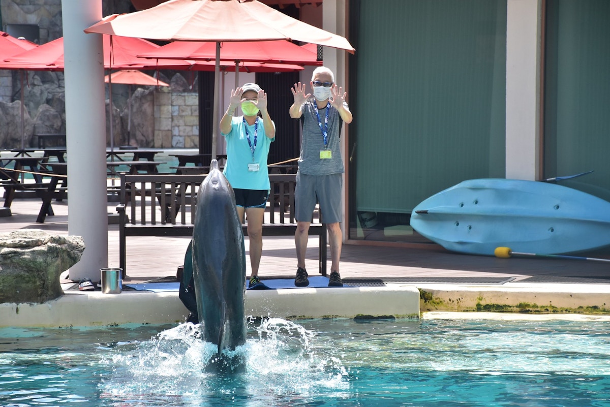 it’s-world-oceans-day-an-aquarium-that-still-keeps-dolphins-captive-is-promoting-ocean-conservation.