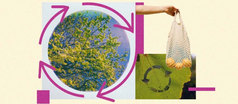 the-circular-economy-is-about-avoiding-waste-and-fixing-broken-value-systems