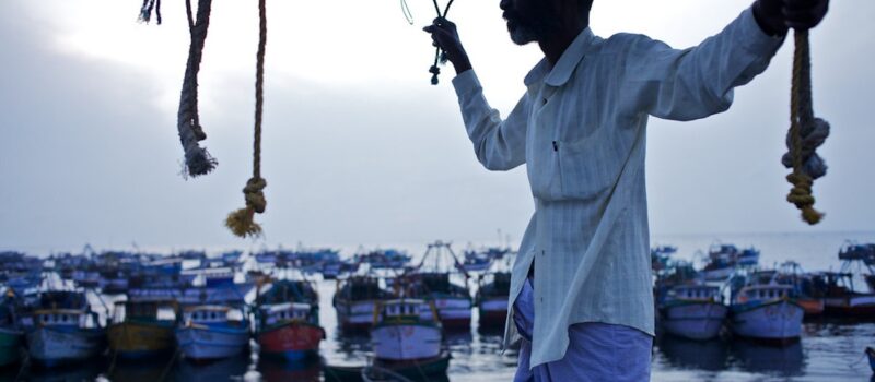 eating-away-our-food:-ocean-acidification-is-impacting-southeast-asia’s-fisheries