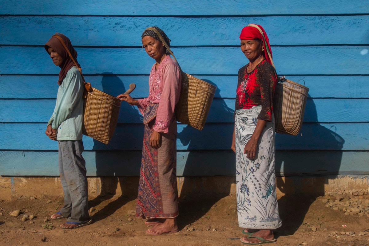 loss-of-palm-oil-fertiliser-subsidies-leaves-sumatra’s-farmers-reeling