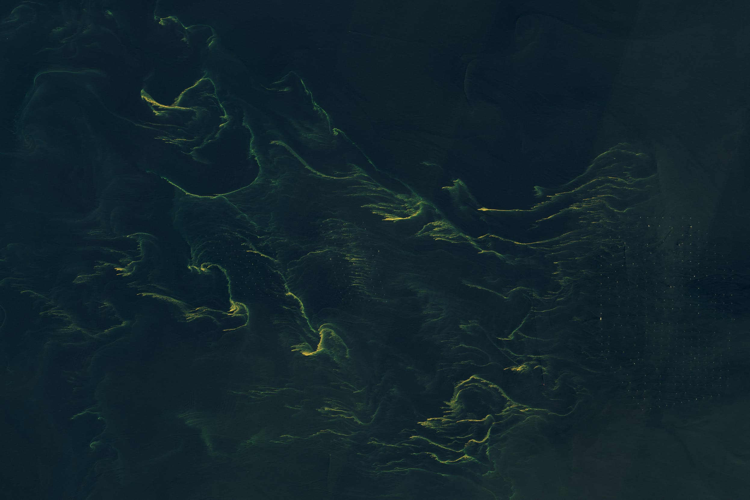 the-glowing-north-sea:-the-insanely-important-world-of-phytoplankton