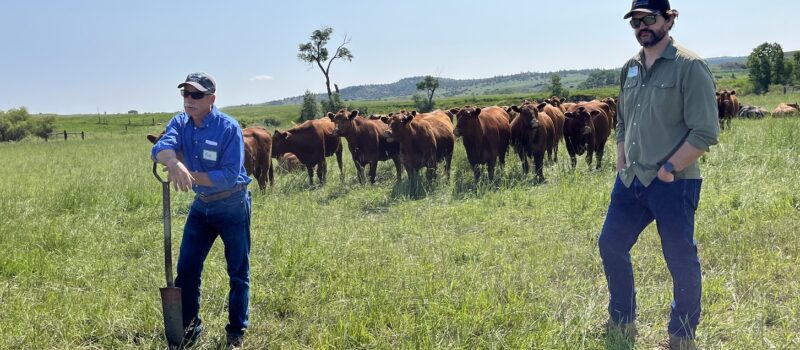 a-firsthand-look-at-regenerative-rancher-education