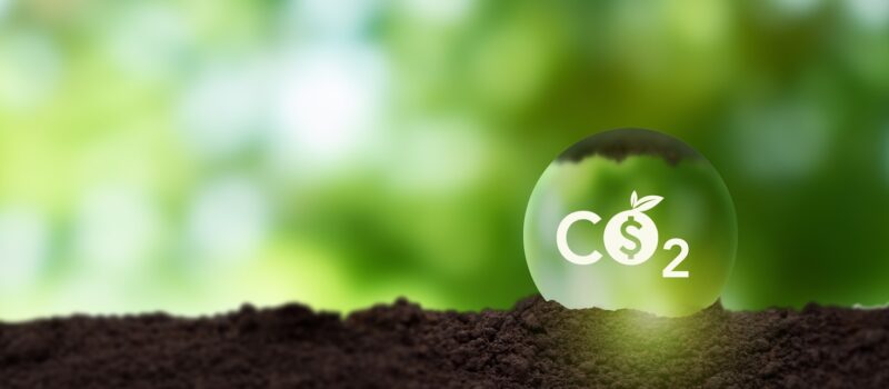 leading-carbon-offset-integrity-bodies-are-joining-forces-—-but-can-they-boost-market-standards?