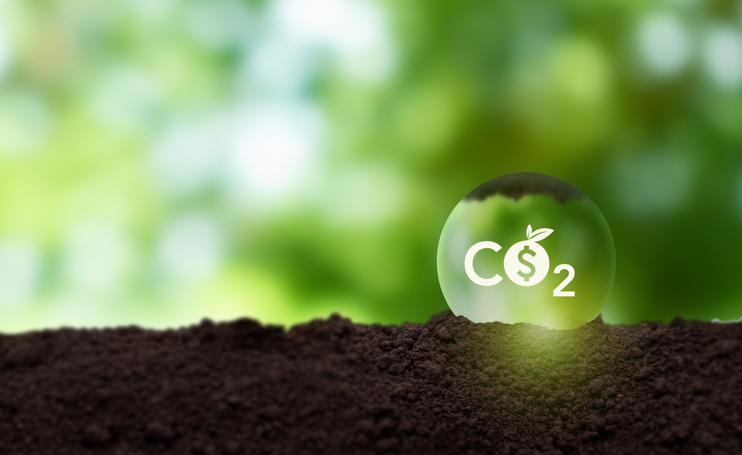 leading-carbon-offset-integrity-bodies-are-joining-forces-—-but-can-they-boost-market-standards?