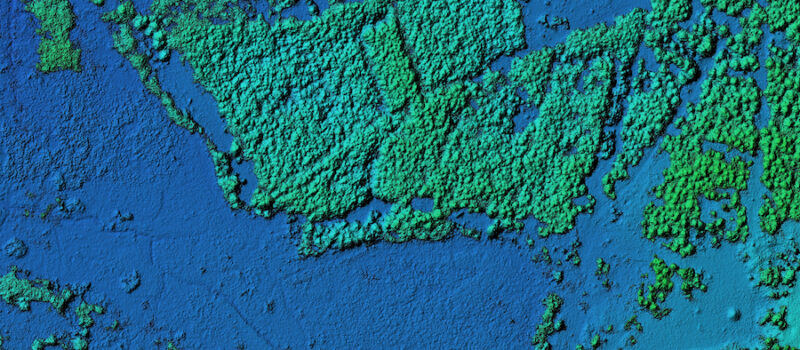 nature-tech?-3-startups-show-how-it-works