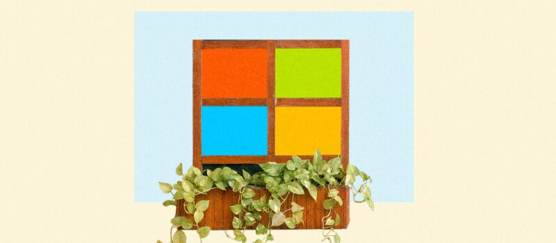 microsoft-report:-3-emerging-carbon-removal-trends-for-2023