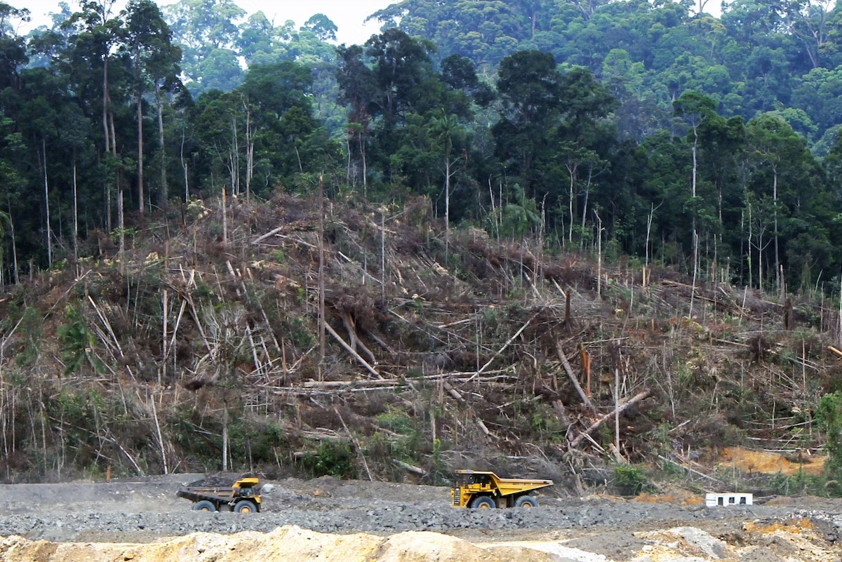 tropical-forest-loss-is-accelerating,-but-indonesia-and-malaysia-are-keeping-deforestation-to-near-record-lows