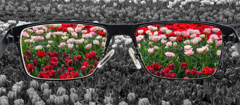 3-reasons-to-be-optimistic-about-climate-tech-in-the-second-half-of-2023