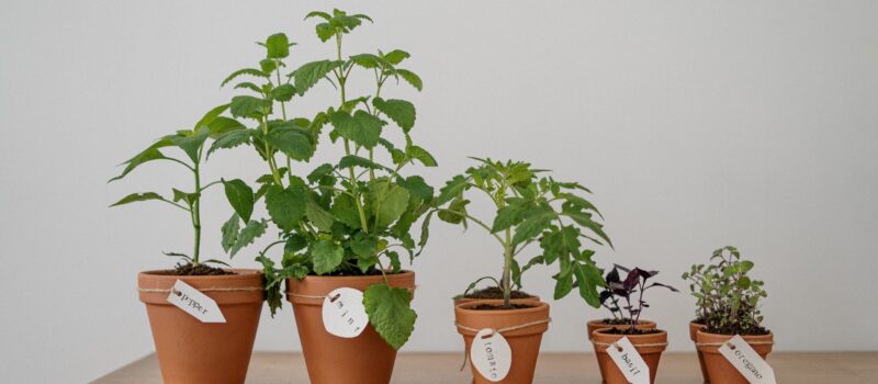 how-the-new-sustainability-disclosure-rules-can-work-for-you