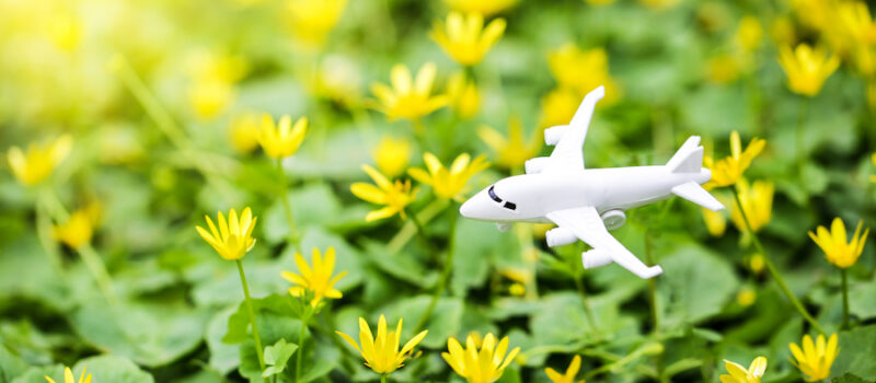 the-impact-of-the-ira-in-100-years