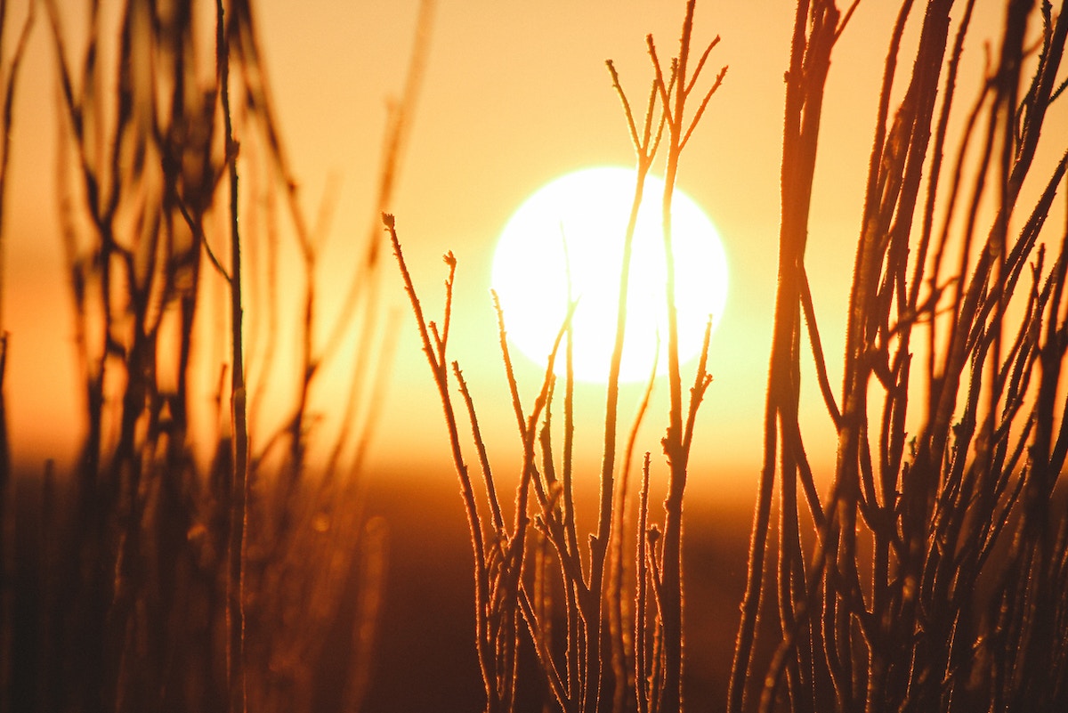why-we-won’t-have-a-super-el-nino-this-year