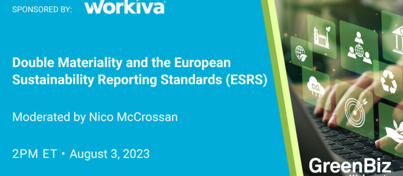 double-materiality-and-the-european-sustainability-reporting-standards-(esrs)