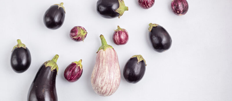 q2-roundup-of-major-food-players:-regenerative-ag-slows-down;-circular-economy-comes-back