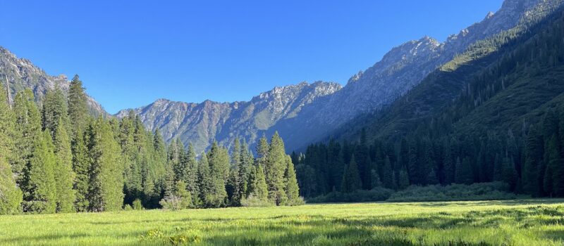 3-ways-companies-fall-short-on-addressing-deforestation