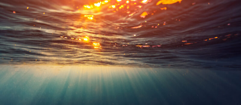 the-future-of-sustainability:-4-fast-emerging-trends