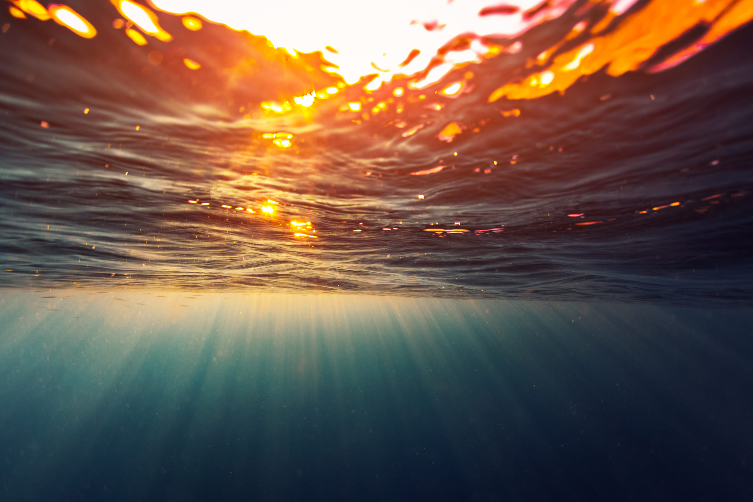 the-future-of-sustainability:-4-fast-emerging-trends