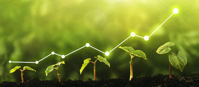 6-ways-investors-can-close-the-data,-metrics-gap-for-nature