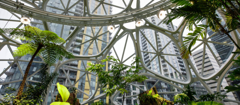 get-ready:-amazon-will-ask-supply-chain-to-report-emissions-starting-in-2024