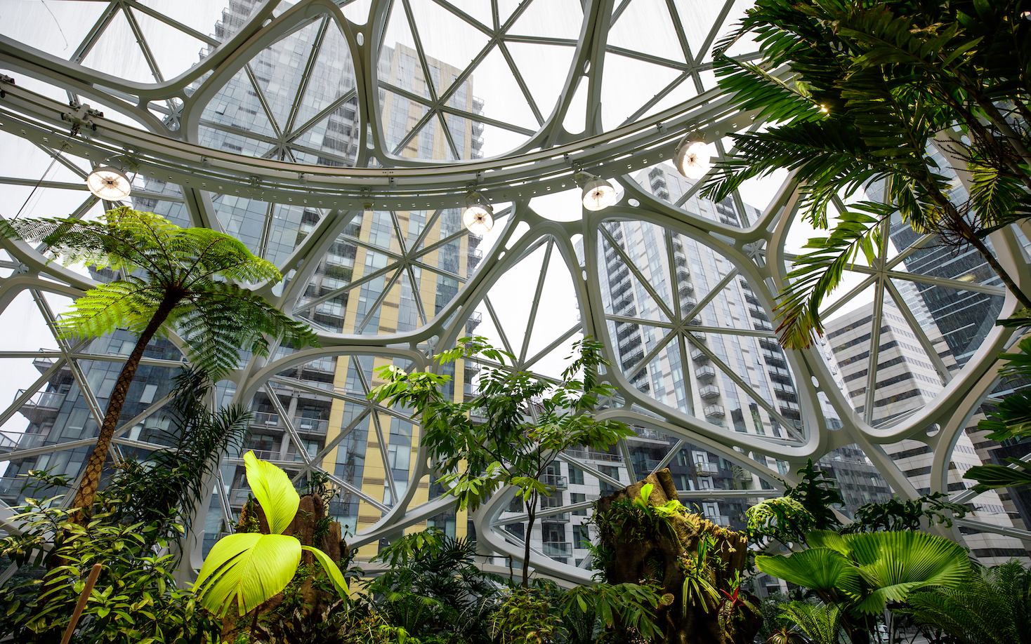 get-ready:-amazon-will-ask-supply-chain-to-report-emissions-starting-in-2024