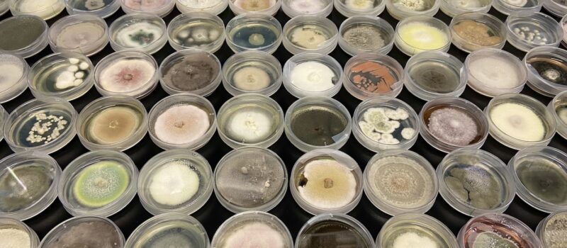 why-the-market-for-mopping-up-‘forever’-chemicals-is-exploding