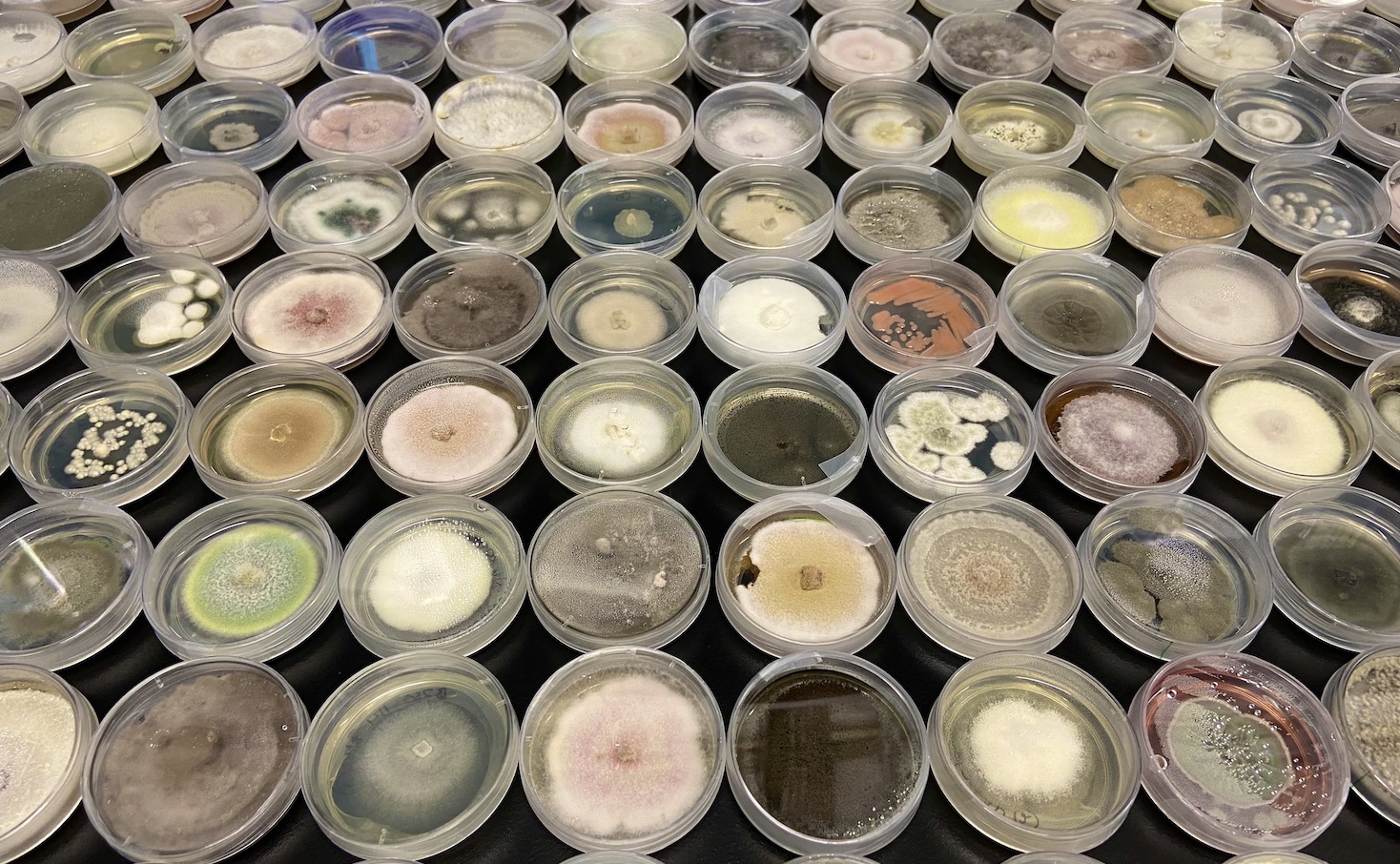 why-the-market-for-mopping-up-‘forever’-chemicals-is-exploding