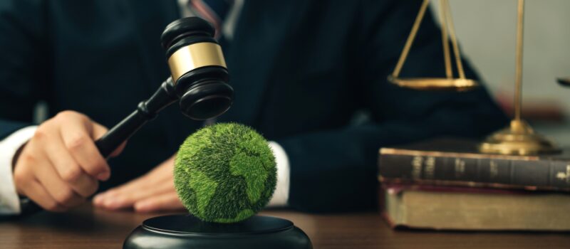 new-carbon-credit-integrity-assessment-opens-for-applications