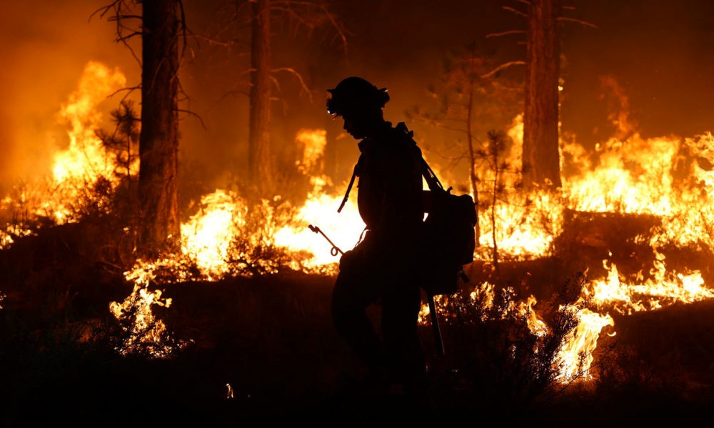 fanning-the-flames:-wildfires-emit-potent-climate-warming-organic-particles