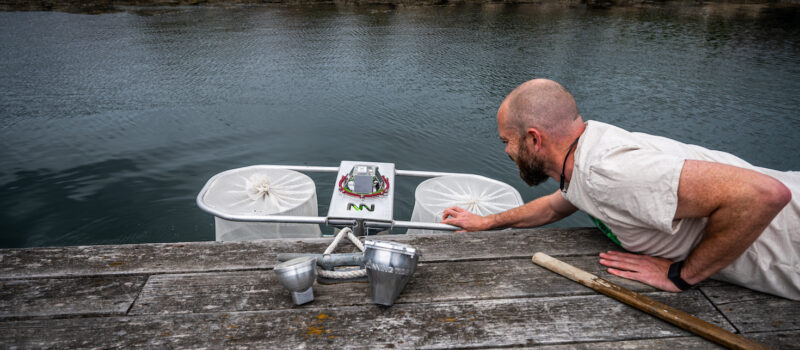 shopify,-startup-running-tide-tout-ocean-carbon-removal-breakthrough