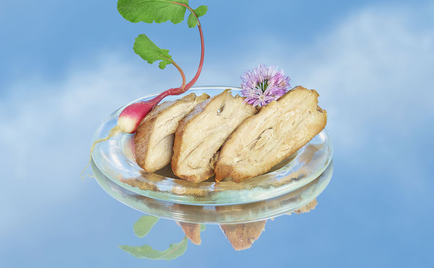creating-food-out-of-thin-air