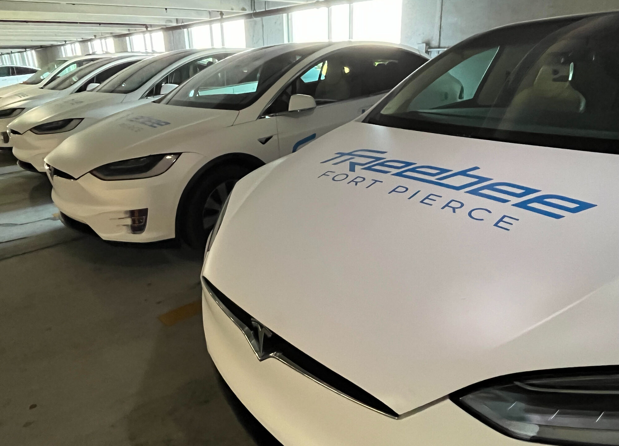 op-ed:-tesla-is-too-established-now-to-fail-—-even-with-elon’s-antics