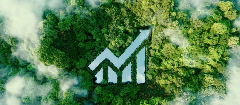 inside-fidelity-international’s-fund-to-invest-in-biodiversity