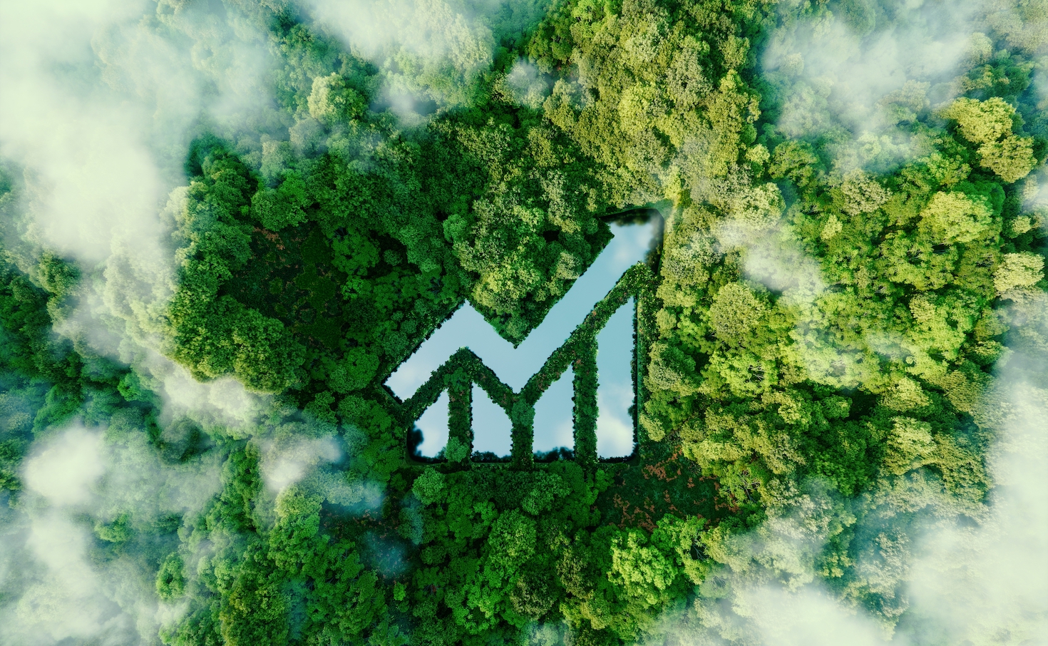 inside-fidelity-international’s-fund-to-invest-in-biodiversity
