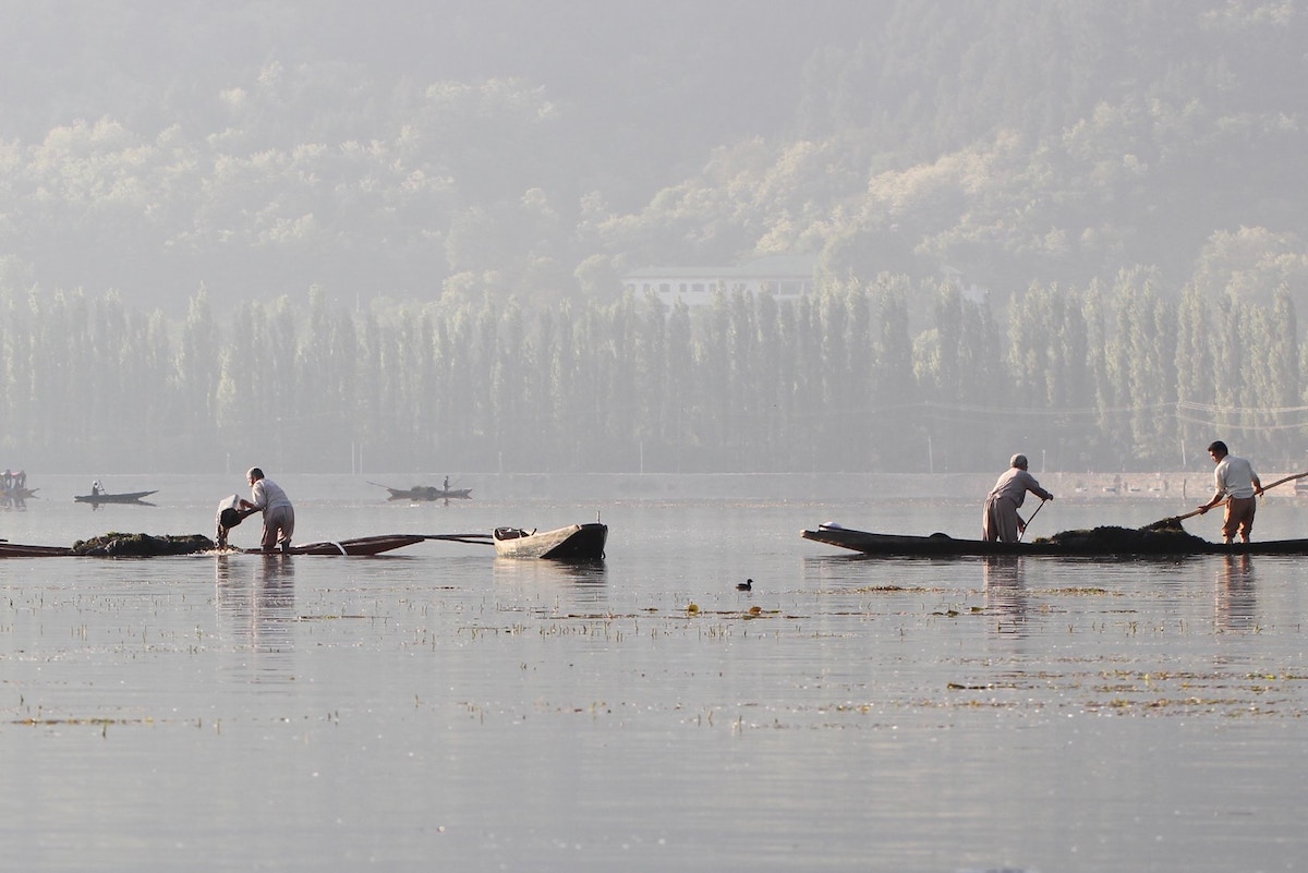 energy-needs-drive-deforestation-in-pakistan-administered-kashmir