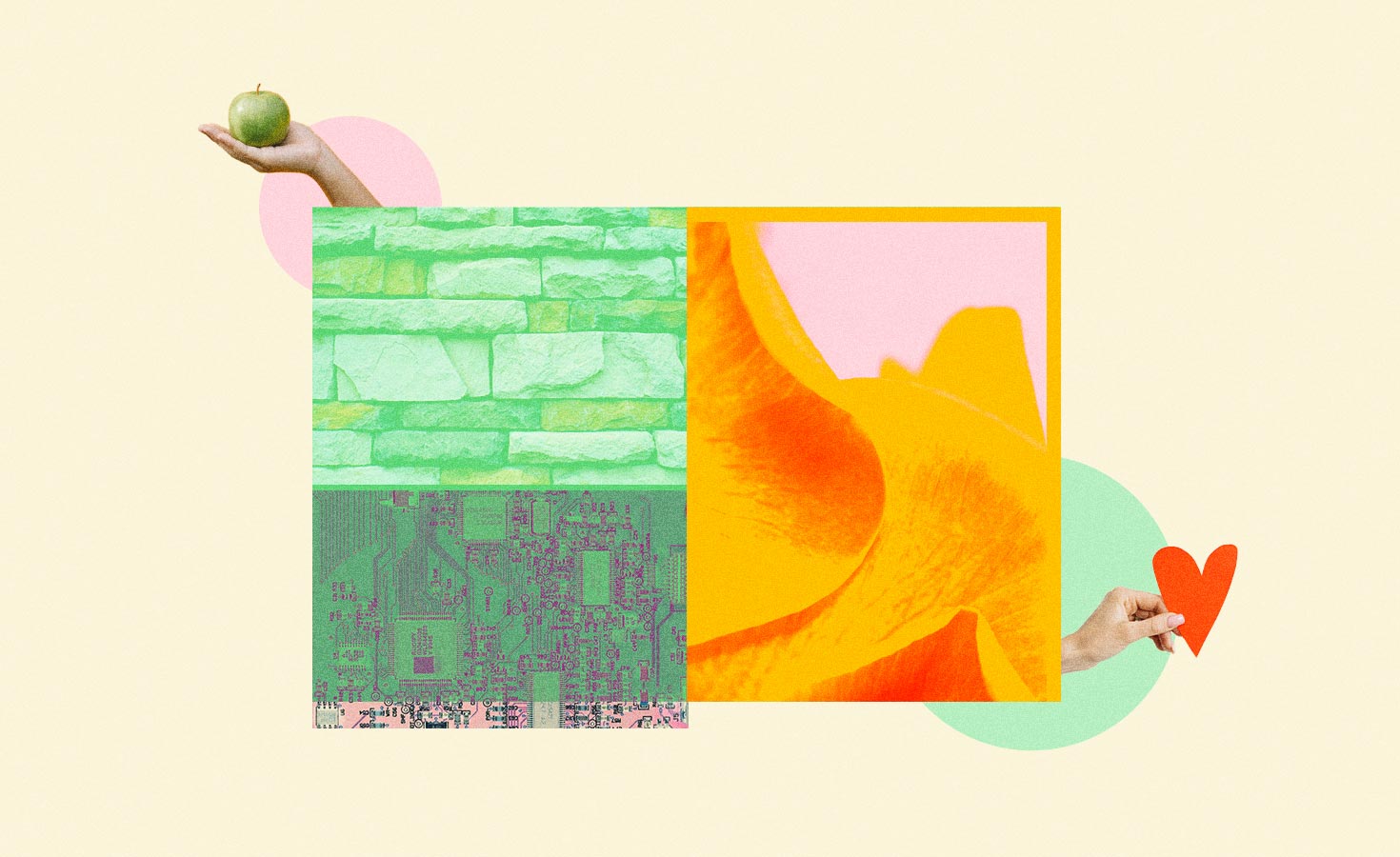 four-‘soft-skills’-you-need-in-a-sustainability-career