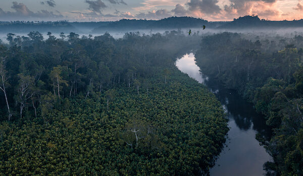 building-a-future-proof-nature-portfolio