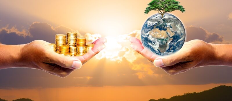 the-biodiversity-investment-thesis-is-still-ill-defined