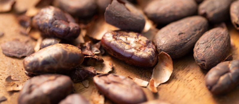 cocoa-shell-fertilizer:-nestle-and-cargill-team-on-regenerative-agriculture