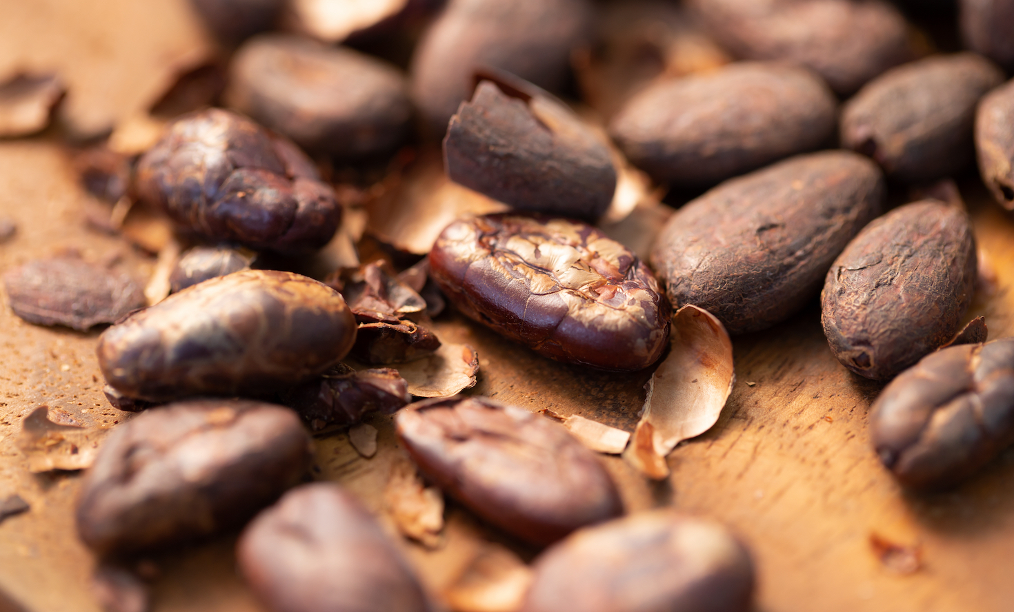 cocoa-shell-fertilizer:-nestle-and-cargill-team-on-regenerative-agriculture
